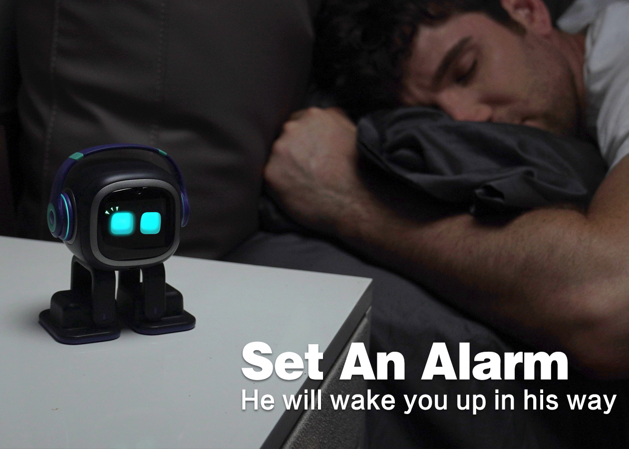 SETEAZA ALARMA