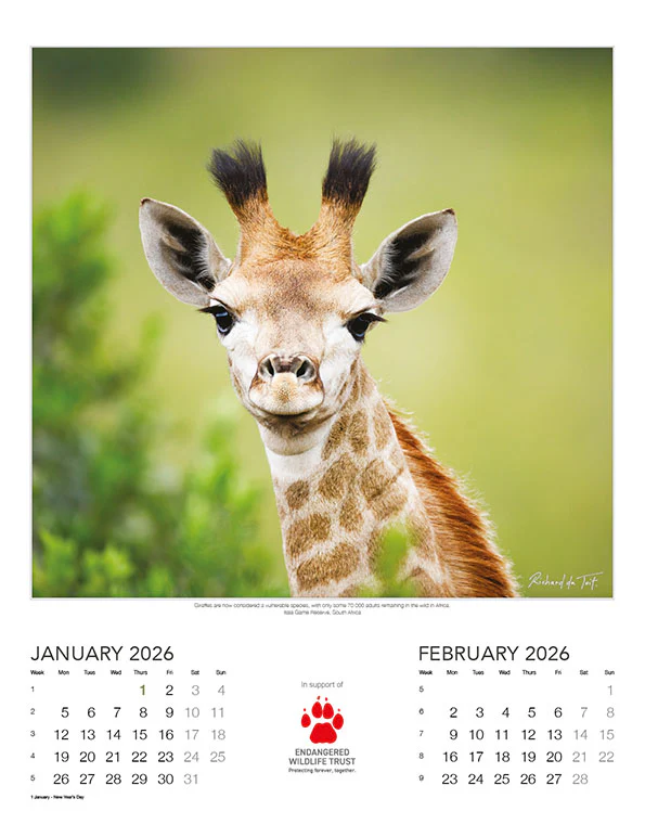 Endangered Wildlife Trust - 2026 Wildlife Wall Calendar