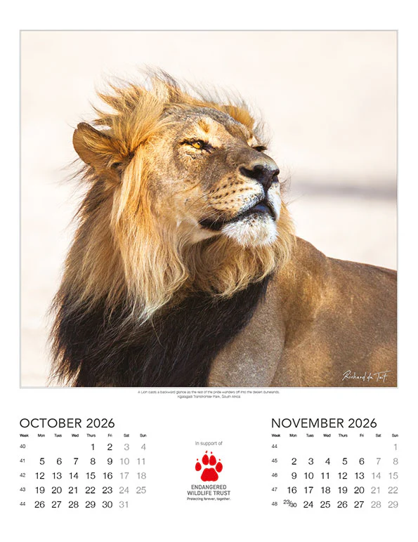 Endangered Wildlife Trust - 2026 Wildlife Wall Calendar
