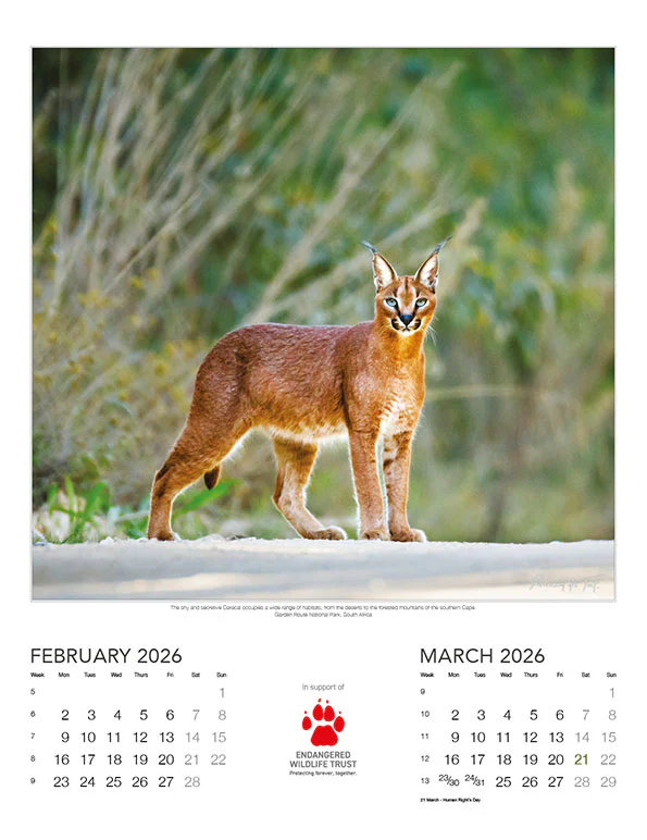 Endangered Wildlife Trust - 2026 Wildlife Wall Calendar