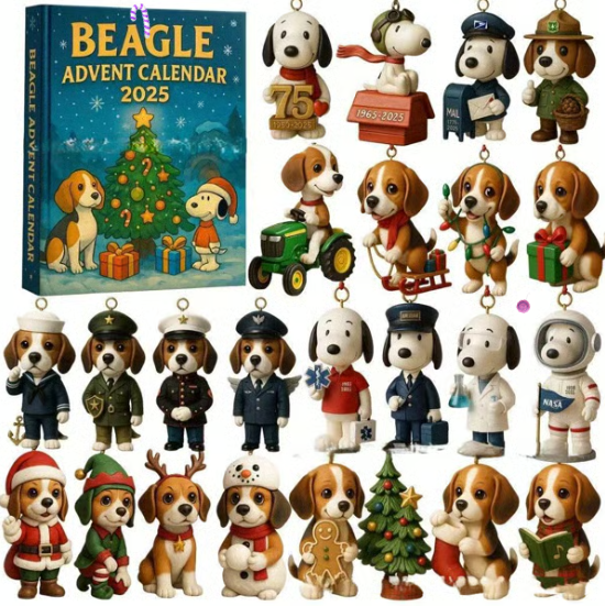 SNPY  Advent Calendar 2025