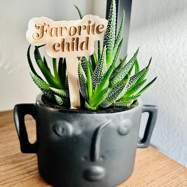 🌟Funny Wooden Plant Markers