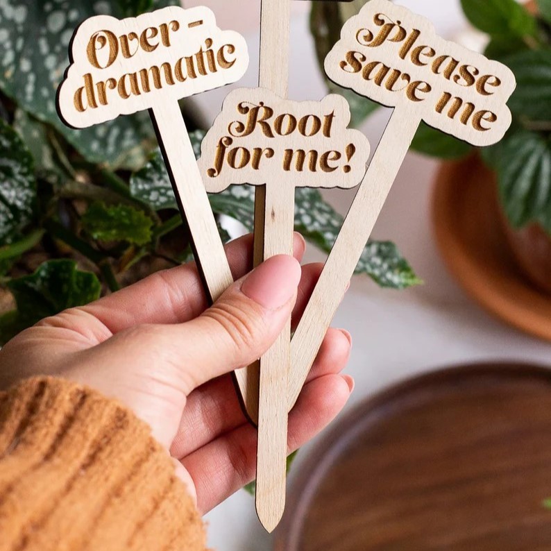 🌟Funny Wooden Plant Markers