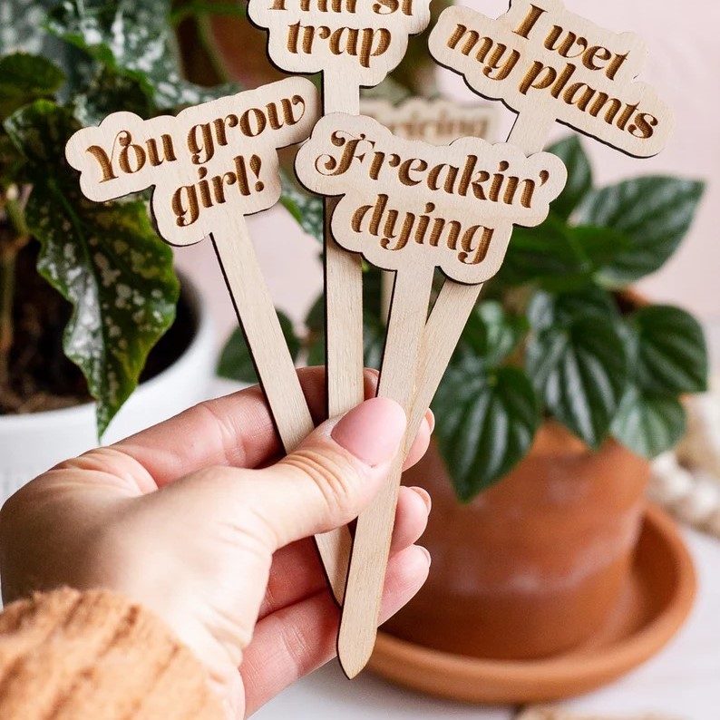 🌟Funny Wooden Plant Markers
