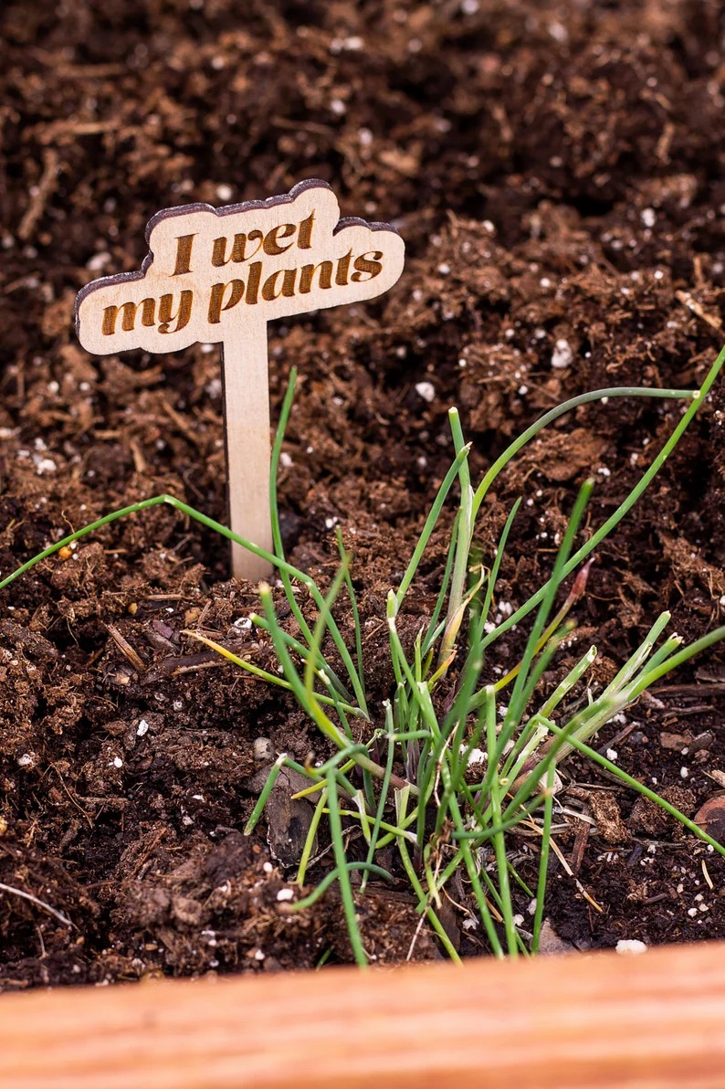 🌟Funny Wooden Plant Markers