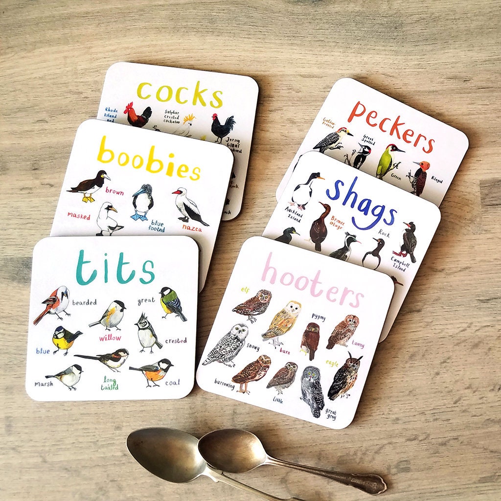 HOT SALE🔥Funny Bird Pun Coasters Set of 6