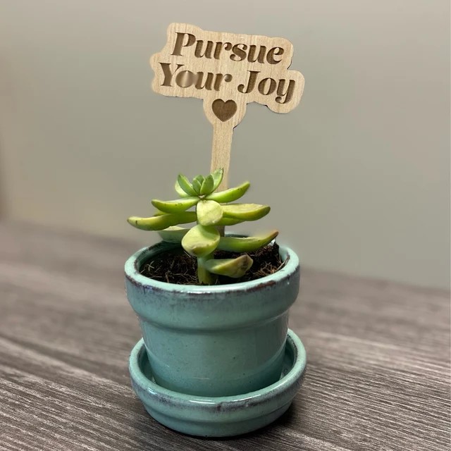 🌟Funny Wooden Plant Markers
