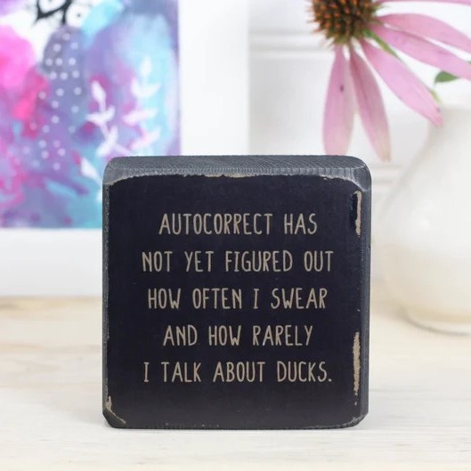 😆Mini Funny Sarcastic Desk Sign