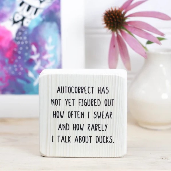 😆Mini Funny Sarcastic Desk Sign