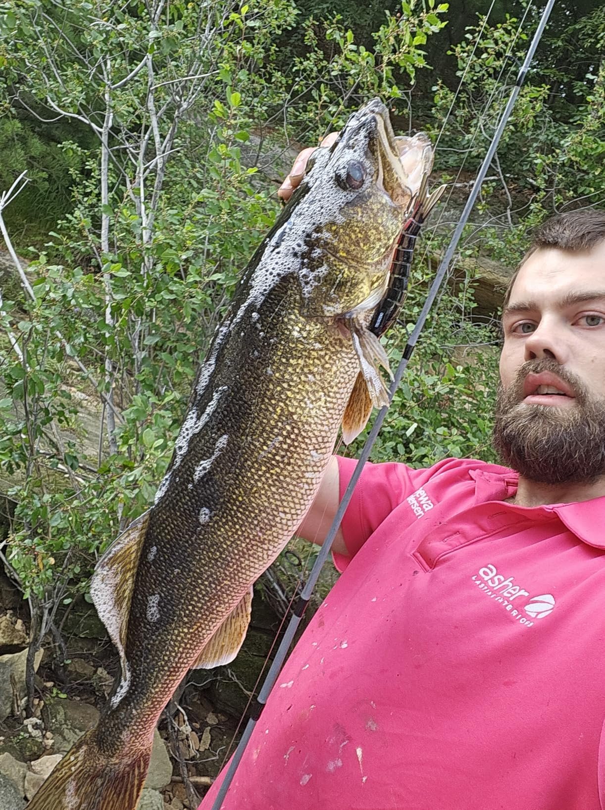 Great fishing lure