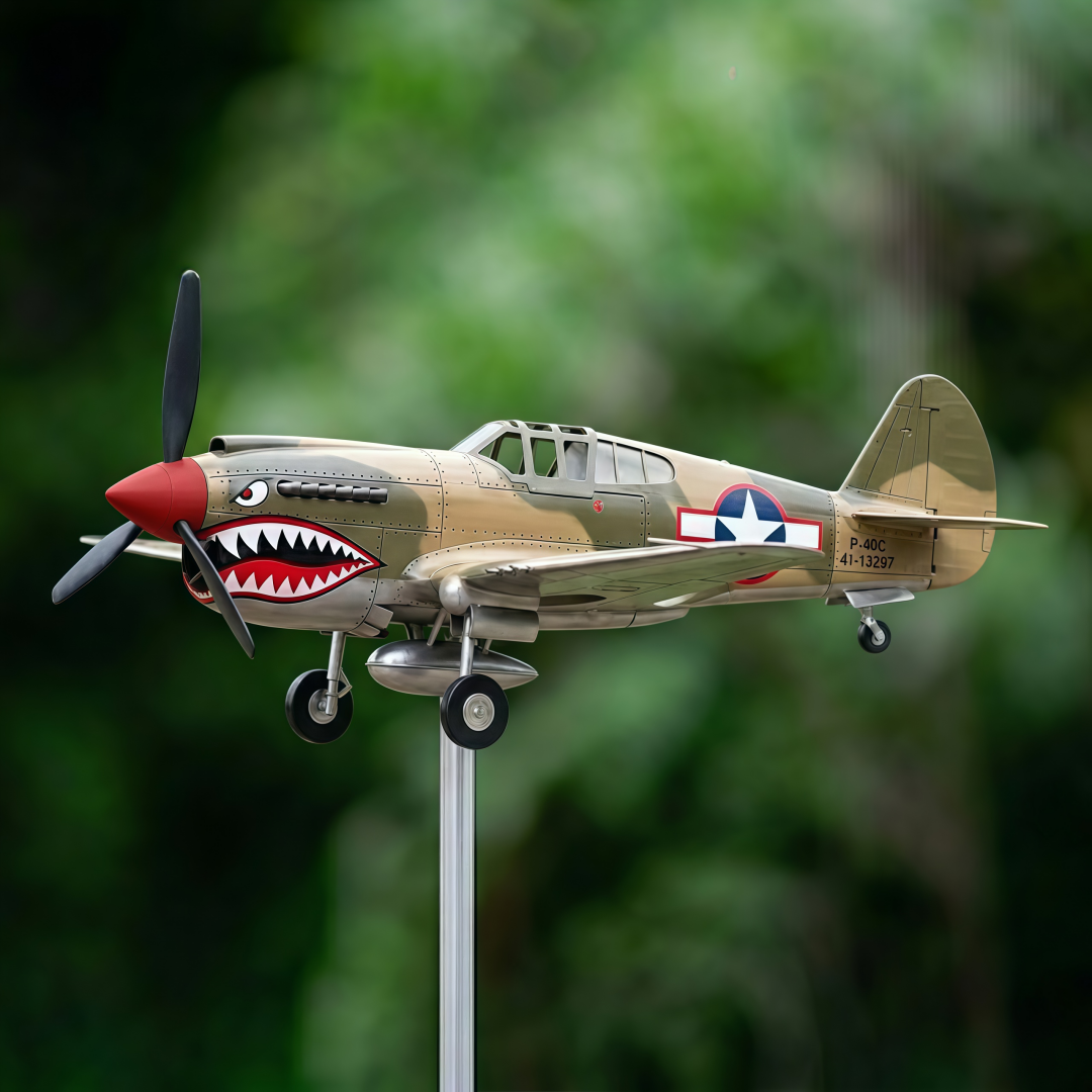 🔥LAST DAY 49% OFF - Shark Mouth Warplane Garden Wind Spinner
