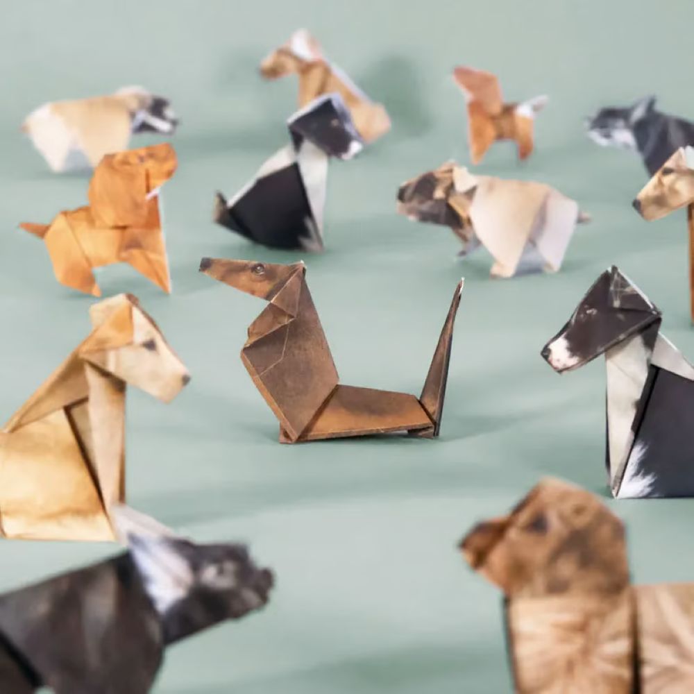 Easy DIY Paper Cats Kit - Guided Lines & Instructions Included