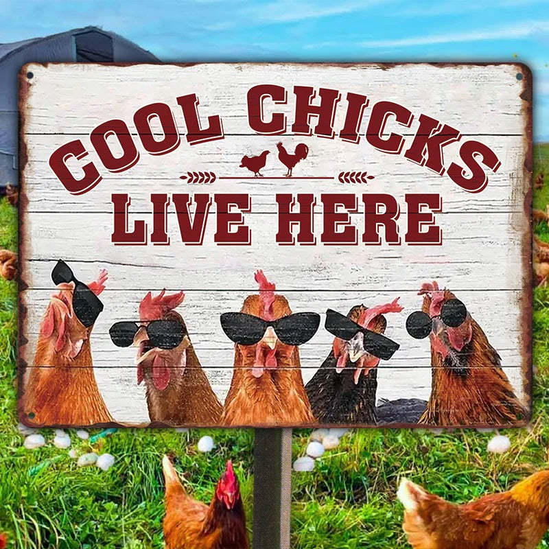 Chicken Coop Sign | Cool Chicks Live Here Chicken Coop Sign Metal Cool Chicks Live Here Information Signs-Jolura