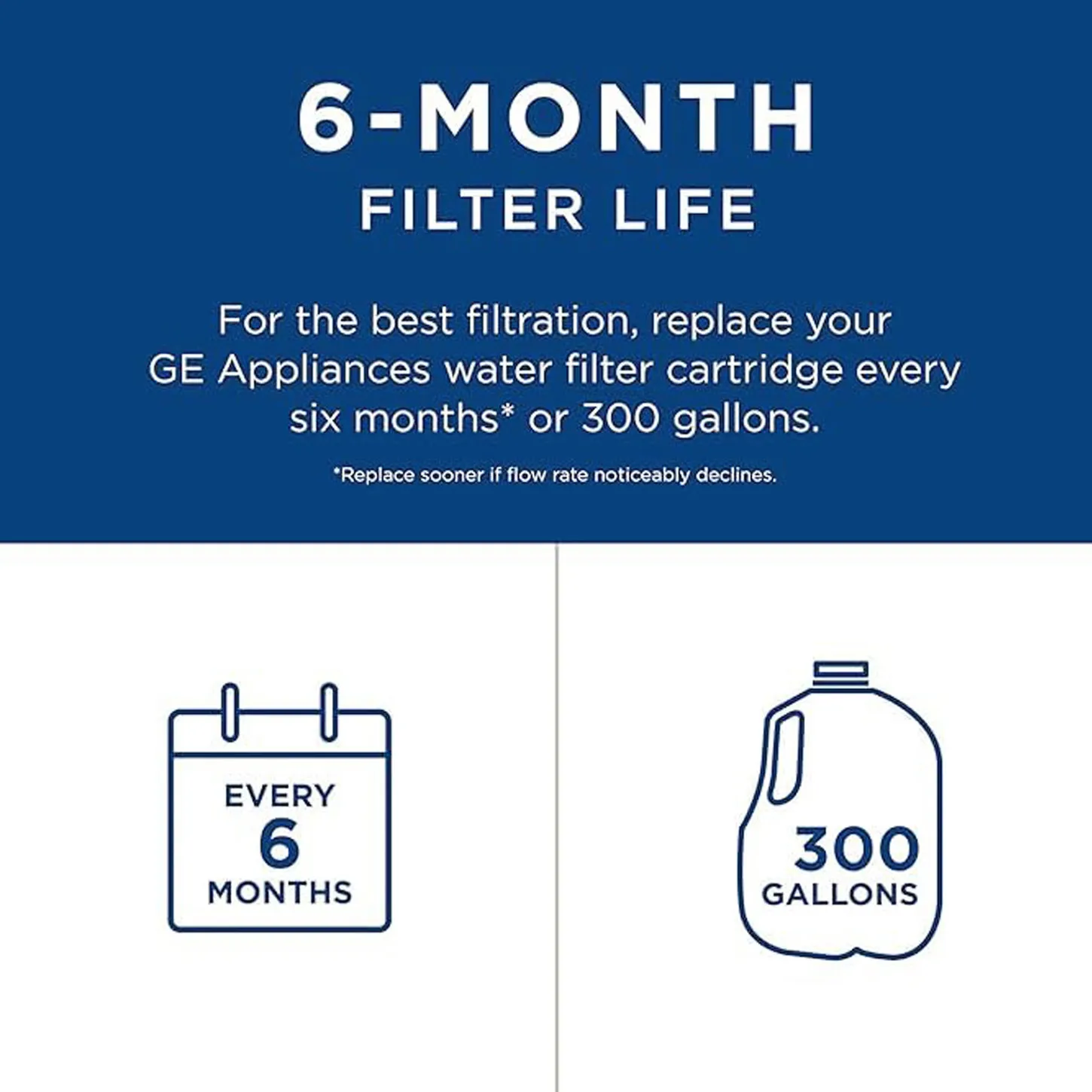 GE RPWFE Refrigerator Water Filter