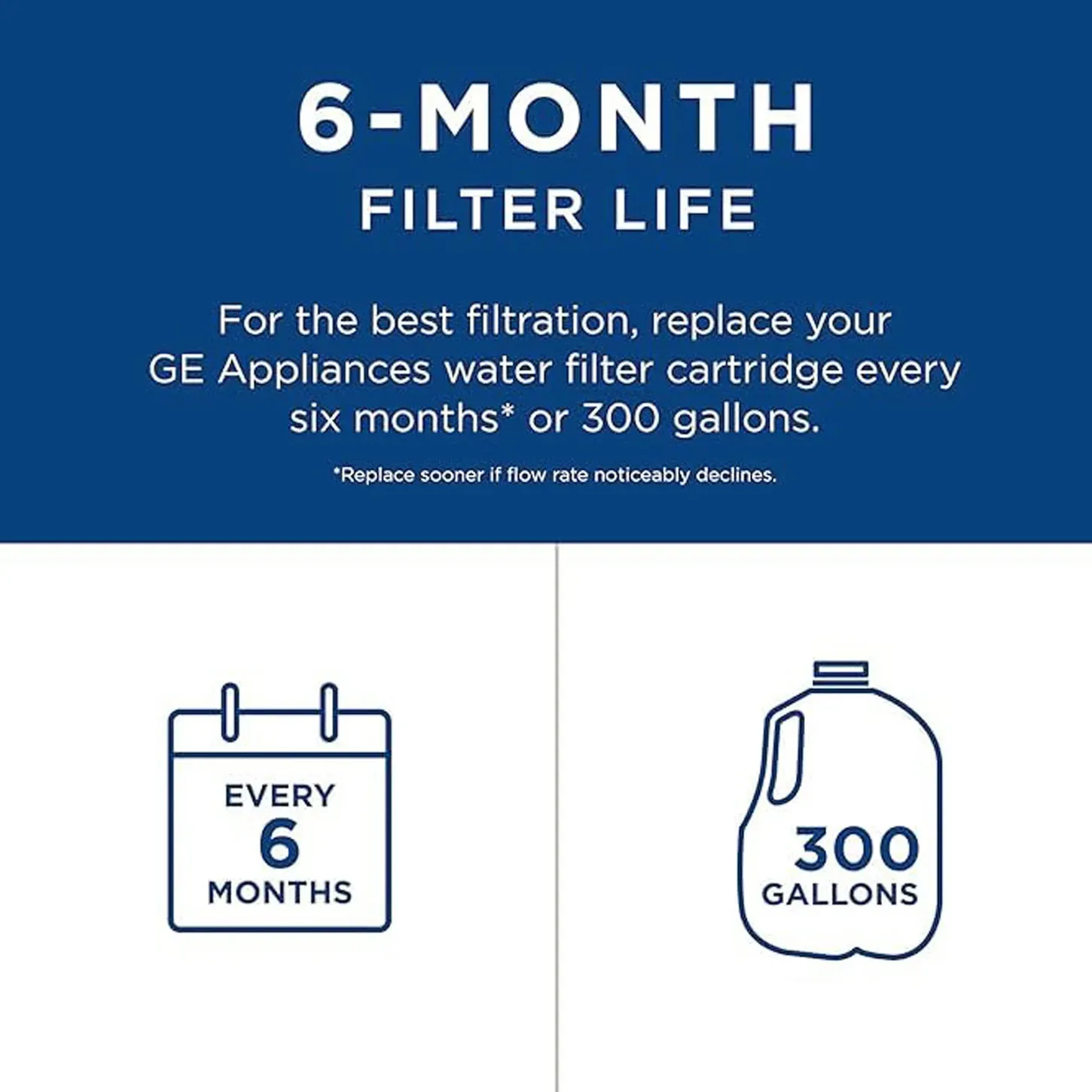 GE RPWFE Refrigerator Water Filter