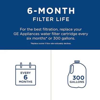 GE RPWFE Refrigerator Water Filter