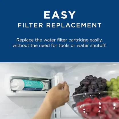 GE RPWFE Refrigerator Water Filter
