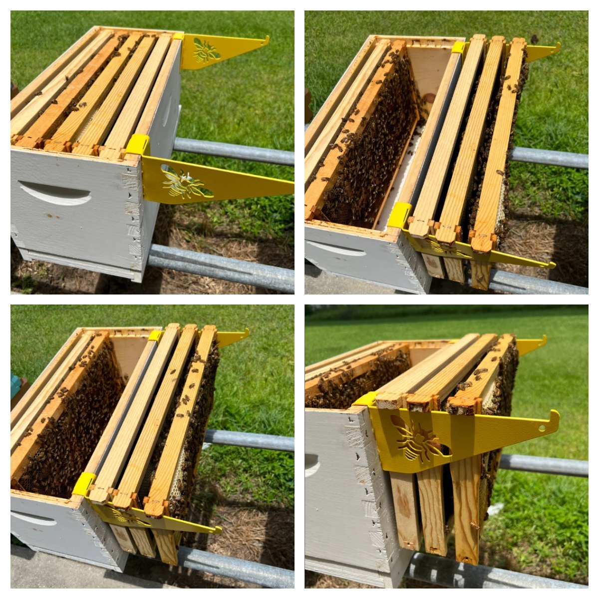 Beehive Inspection Bracket
