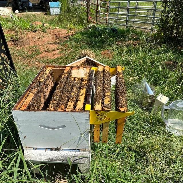 Beehive Inspection Bracket