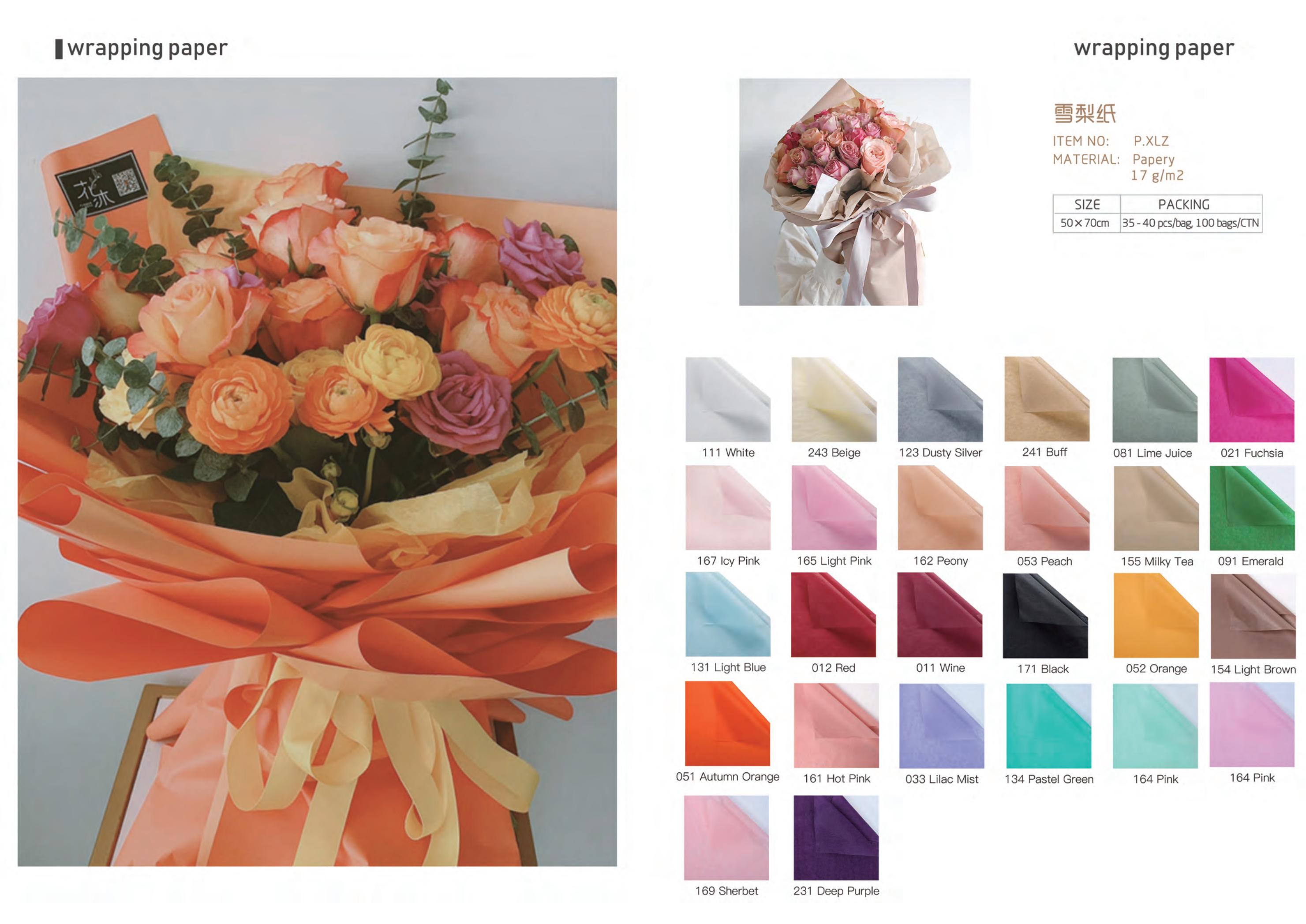 Papel coreano  20240167