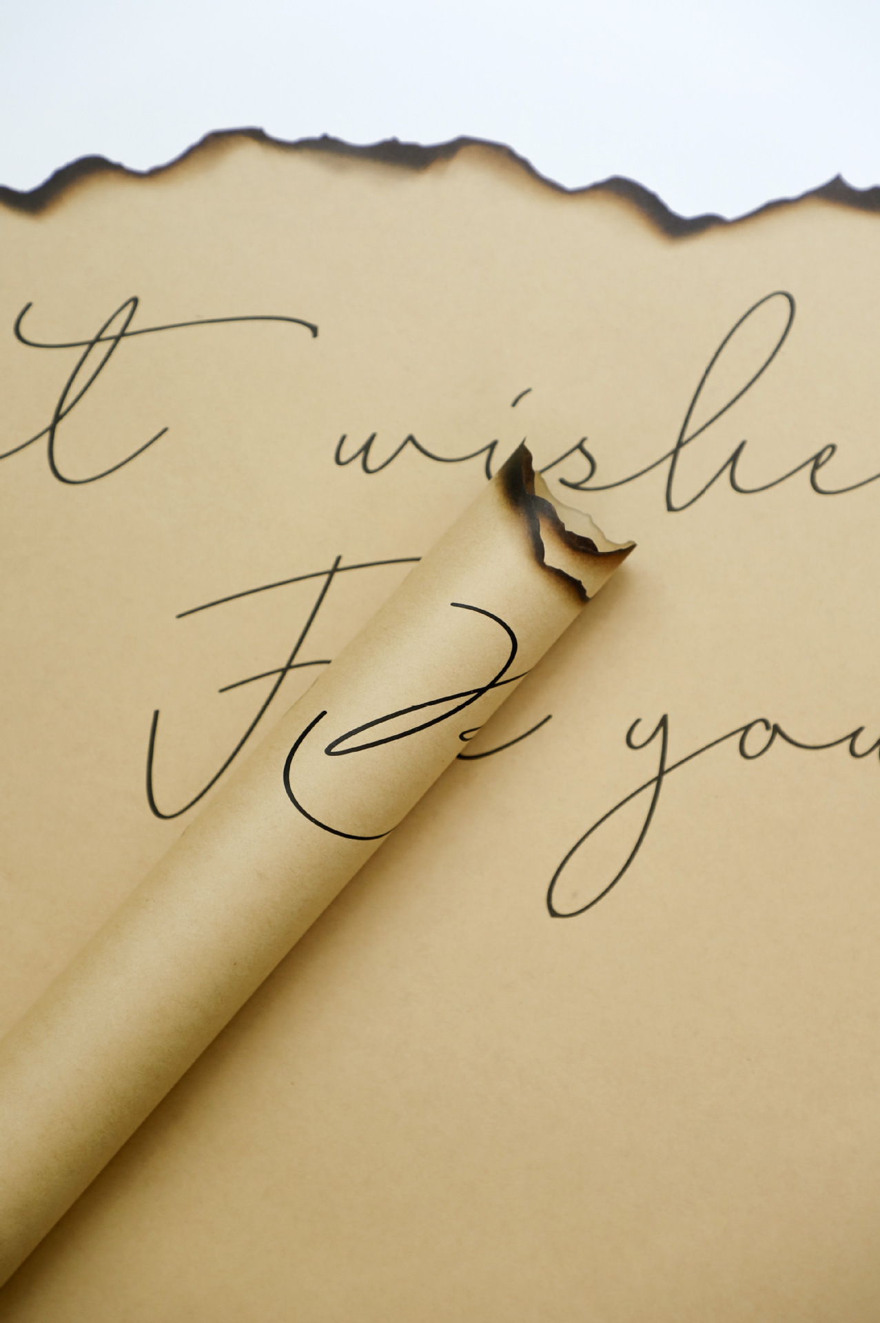 Nuevo papel de regalo de flores de papel de llama de papel de llama（51#）