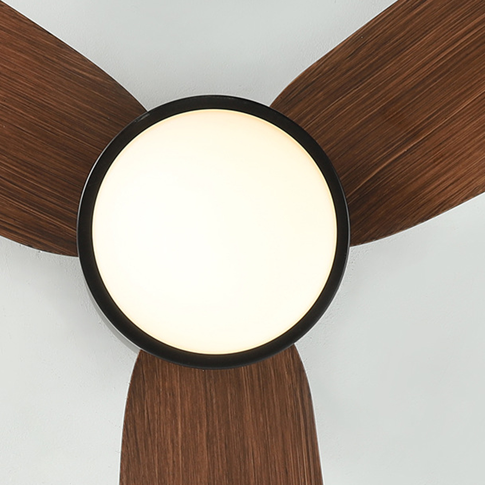 Nordic Living Room Smart Remote Control Ceiling Fan Lamp LED light Fan-Handwovenlamp