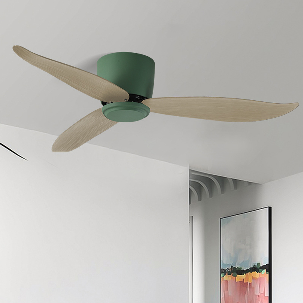 Nordic Living Room Smart Remote Control Ceiling Fan Lamp LED light Fan-Handwovenlamp