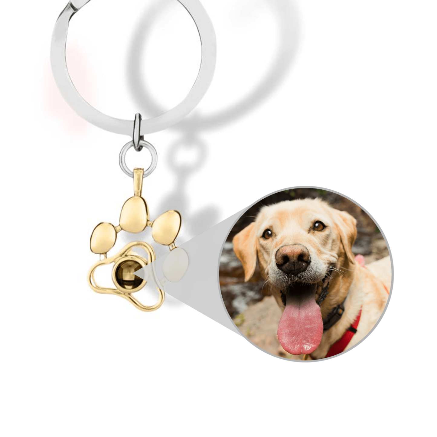 Dog Paw Pet Photo Inside Projection Necklace
