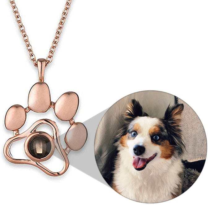 Dog Paw Pet Photo Inside Projection Necklace