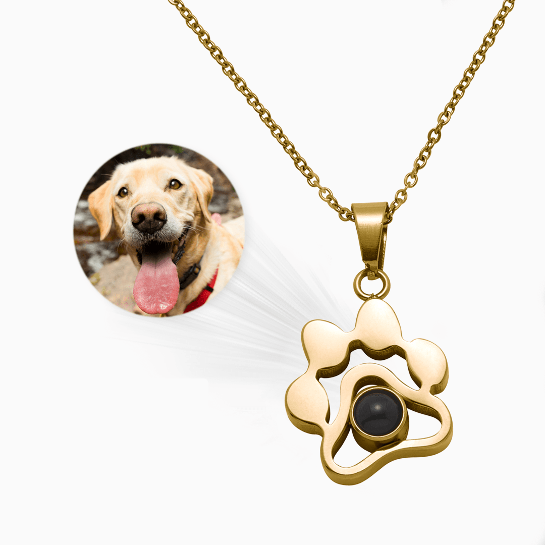 Dog Paw Pet Photo Inside Projection Necklace