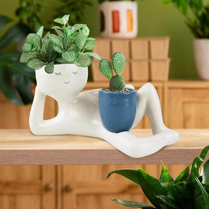 💤 Unique Reclining Planter for Succulents & Mini Greens