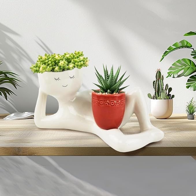 💤 Unique Reclining Planter for Succulents & Mini Greens