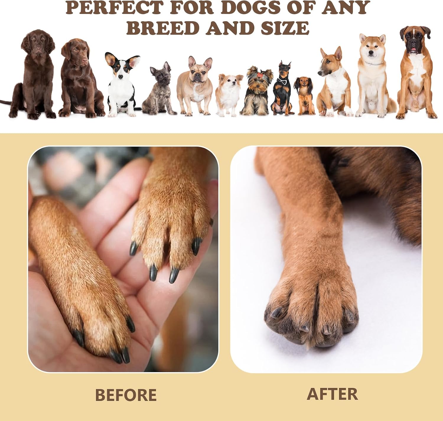 🔥 LAST DAY | 49% OFF! 3-in-1 Dog Nail Scratch Board 🐾 Stress-Free Paws Grooming Toy with Treat Reward