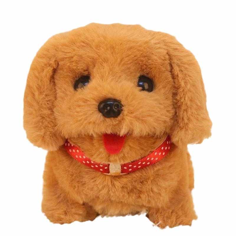 RoboPaw gives your family all the magic of a dog, without the mess.