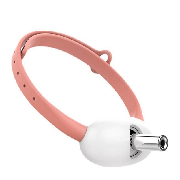 Smart Cat Laser Collar Cat Toys