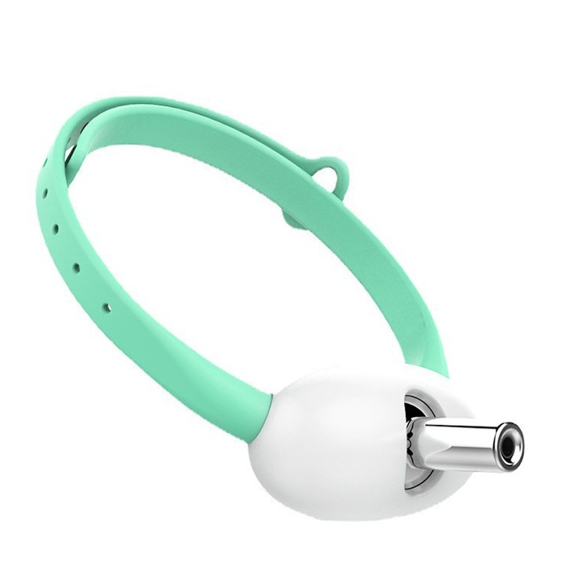 Smart Cat Laser Collar Cat Toys