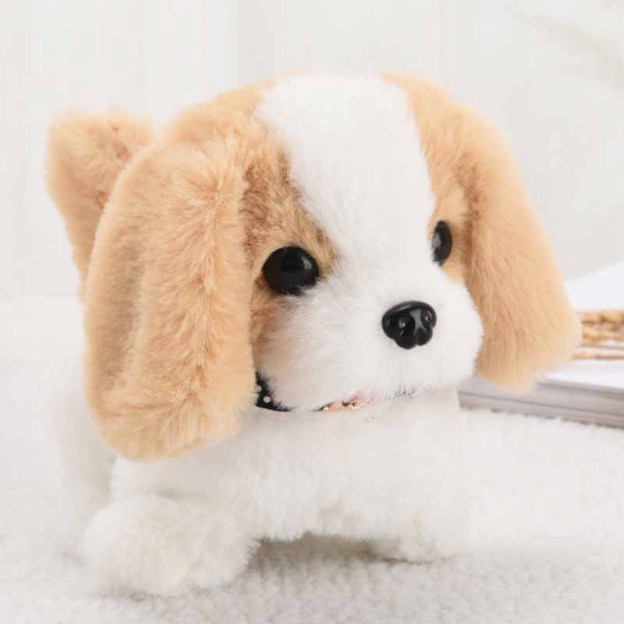 RoboPaw gives your family all the magic of a dog, without the mess.