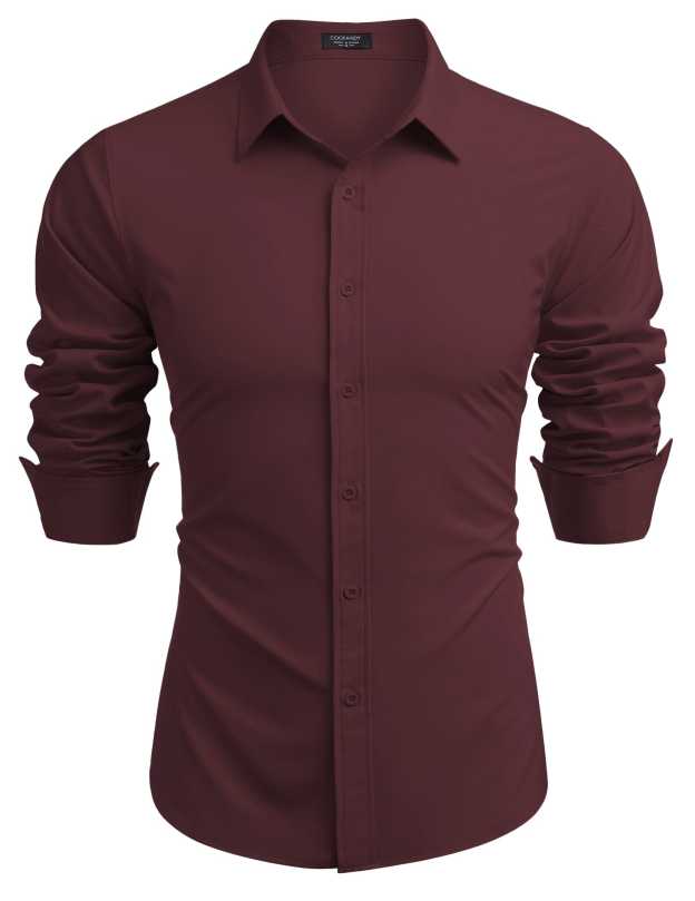 Casual Regular Fit Dress Shirt