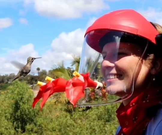 Hummingbird Feeder Glasses Hautrely Hummingbird Feeder Mask - Hands-Free  Bird Watching Hat With 3 Feeding Ports Hummingbird Hummviewer