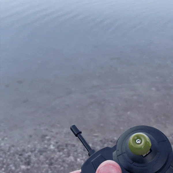 Remote Control Crocodile Head