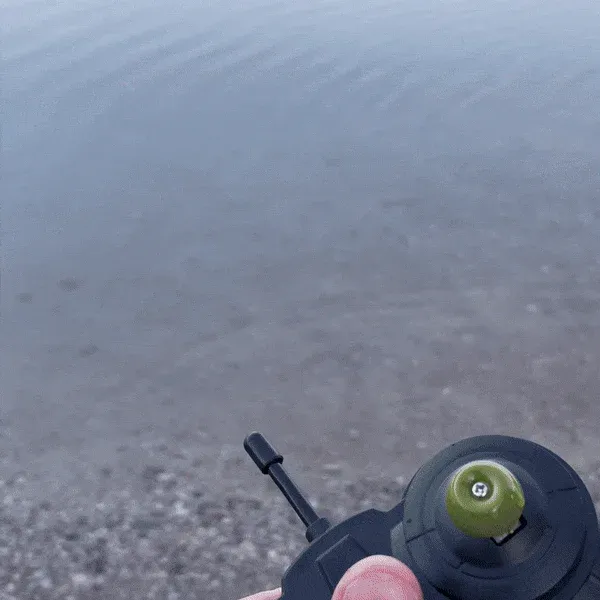 Remote Control Crocodile Head