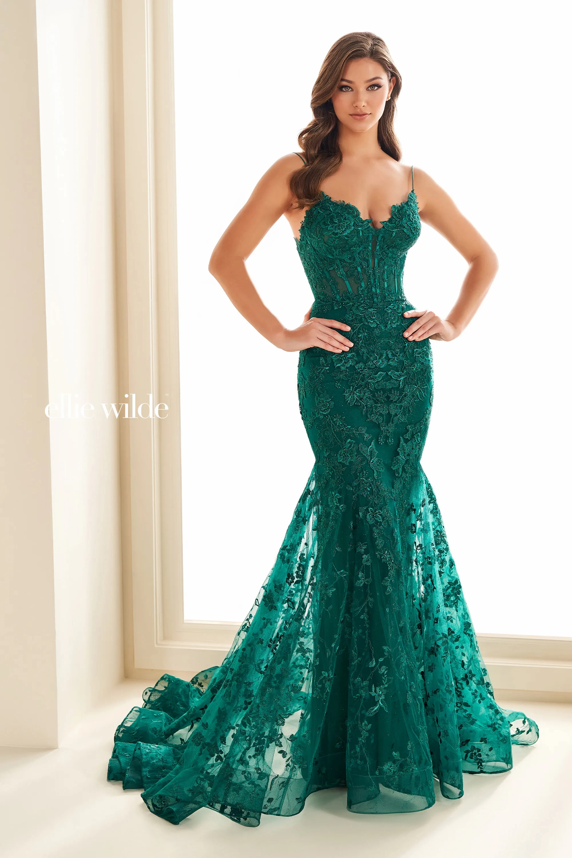 Fit And Flare Sweetheart Embroidered Mesh Lace-Up Back Prom Dress ﻿#EW36008