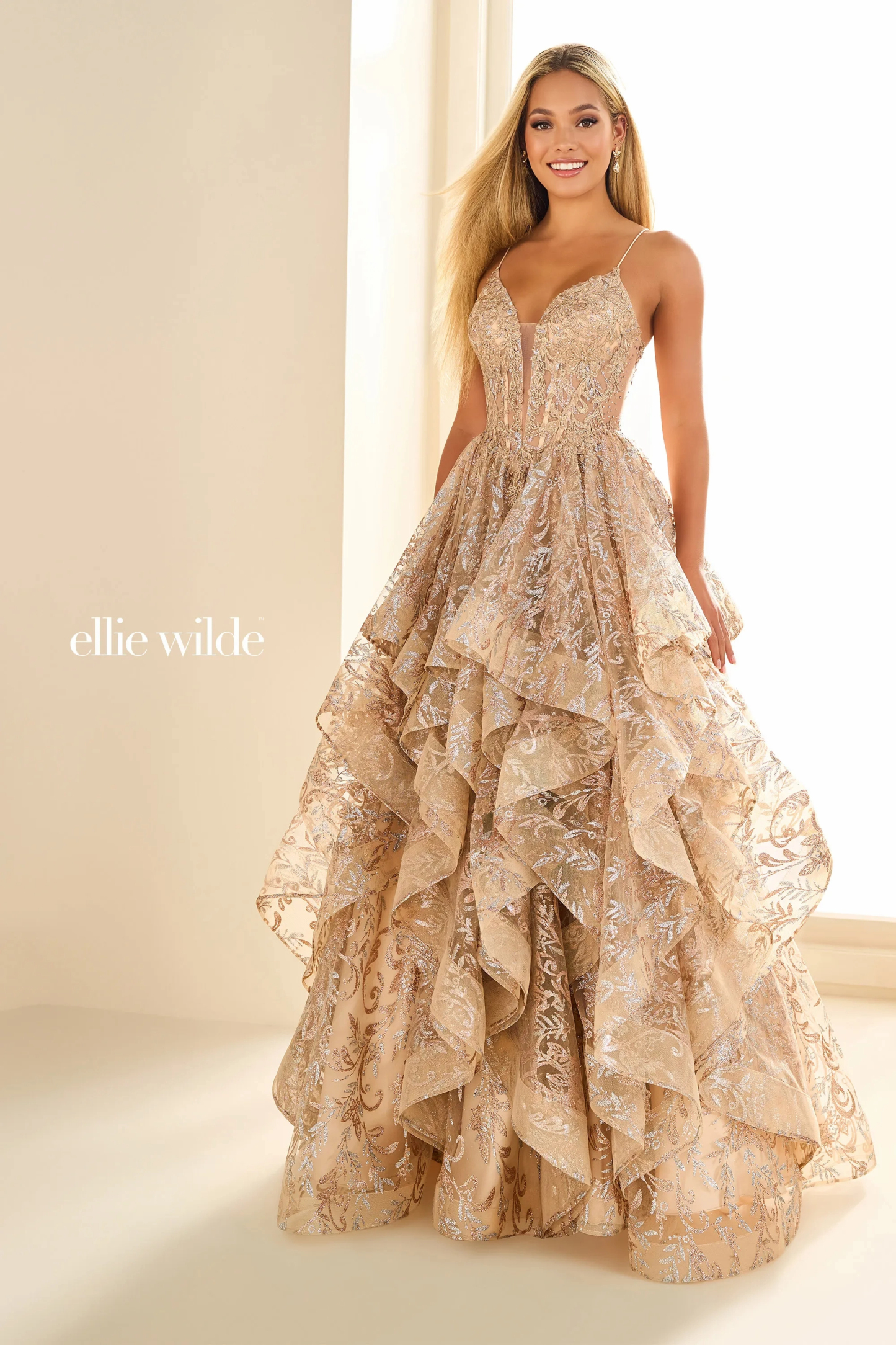 Ball Gown Deep V-neck Cracked Ice Lace Appliques Dropped Prom Dress