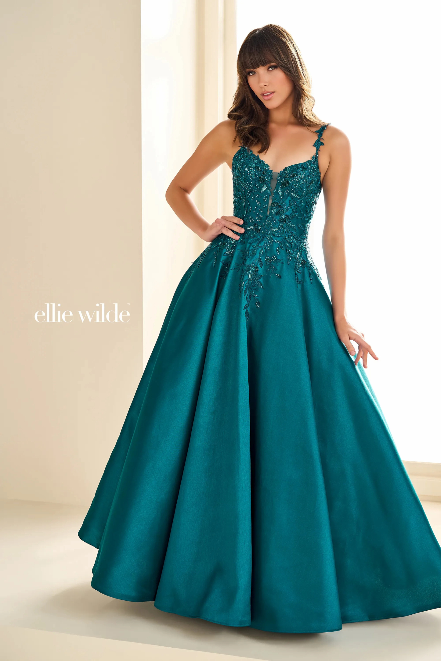 Ball Gown Sweetheart Spaghetti Straps Sequin Lace Appliques Prom Dress #Ellie Wilde 36094