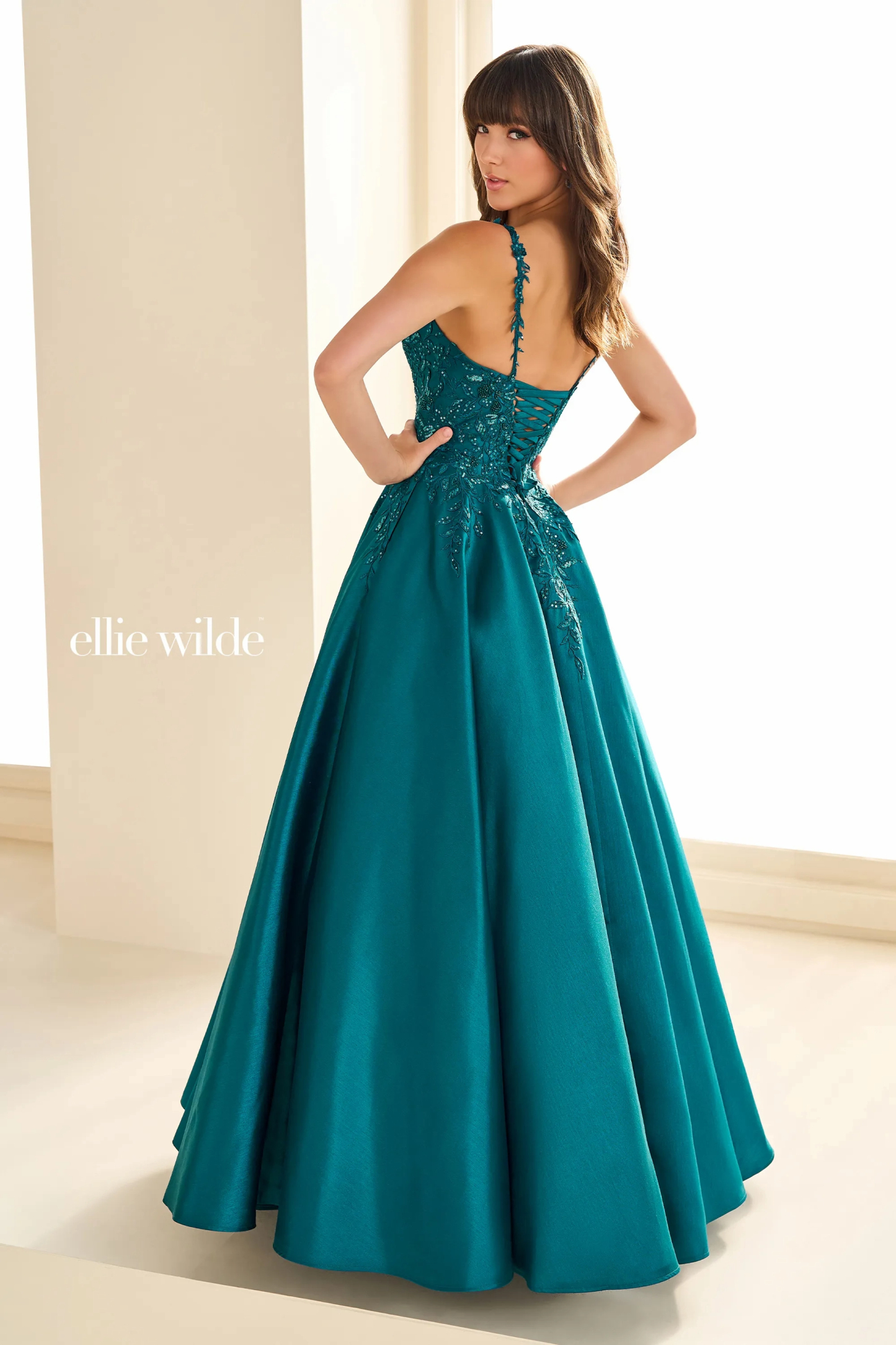 Ball Gown Sweetheart Spaghetti Straps Sequin Lace Appliques Prom Dress #Ellie Wilde 36094