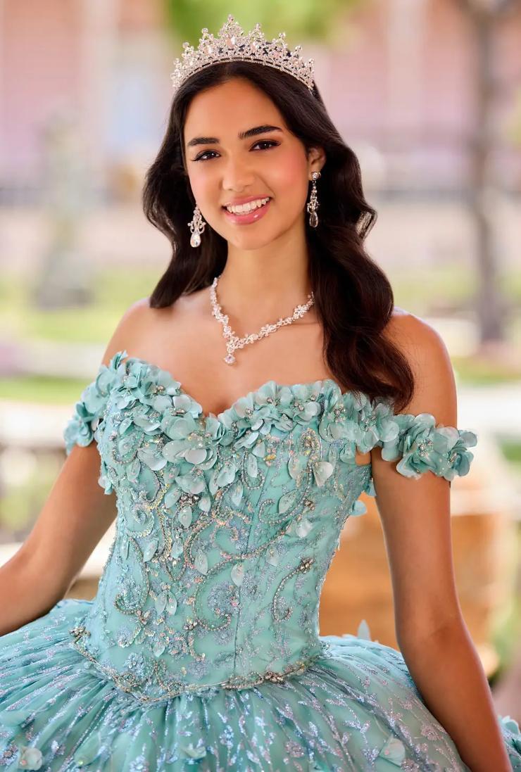 Ethereal Light-Up Quinceanera Dress With 3D Flowers #PR22036