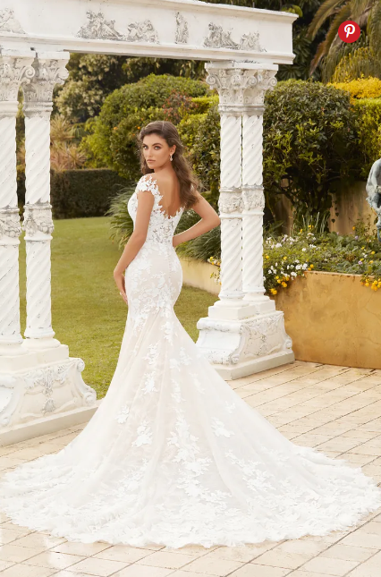 Sophisticated Lace Fit And Flare Wedding Dress LORELAI | STYLE ST1225
