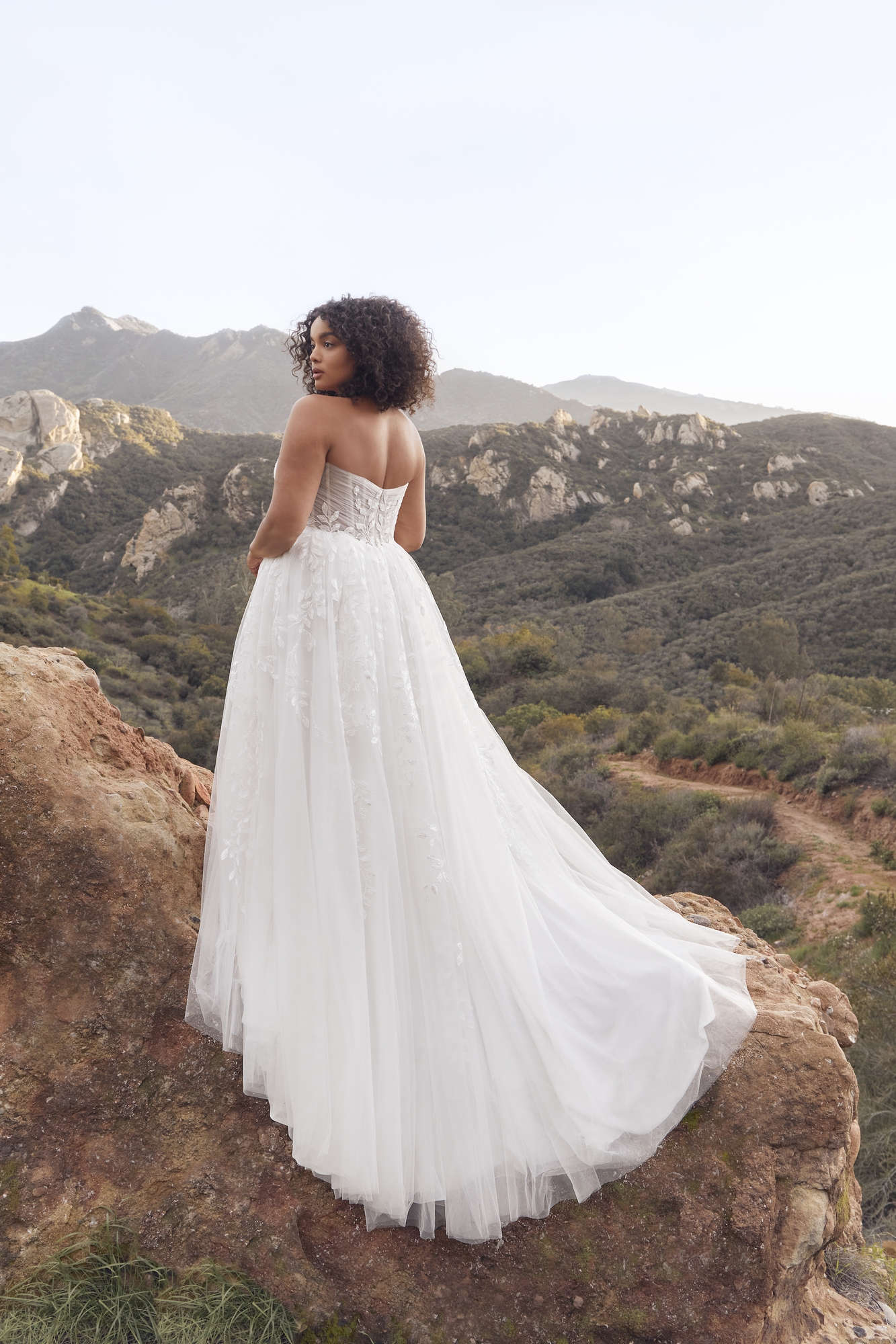 Elegance  A-Line Plunge V-neck Wedding Dress #BL415