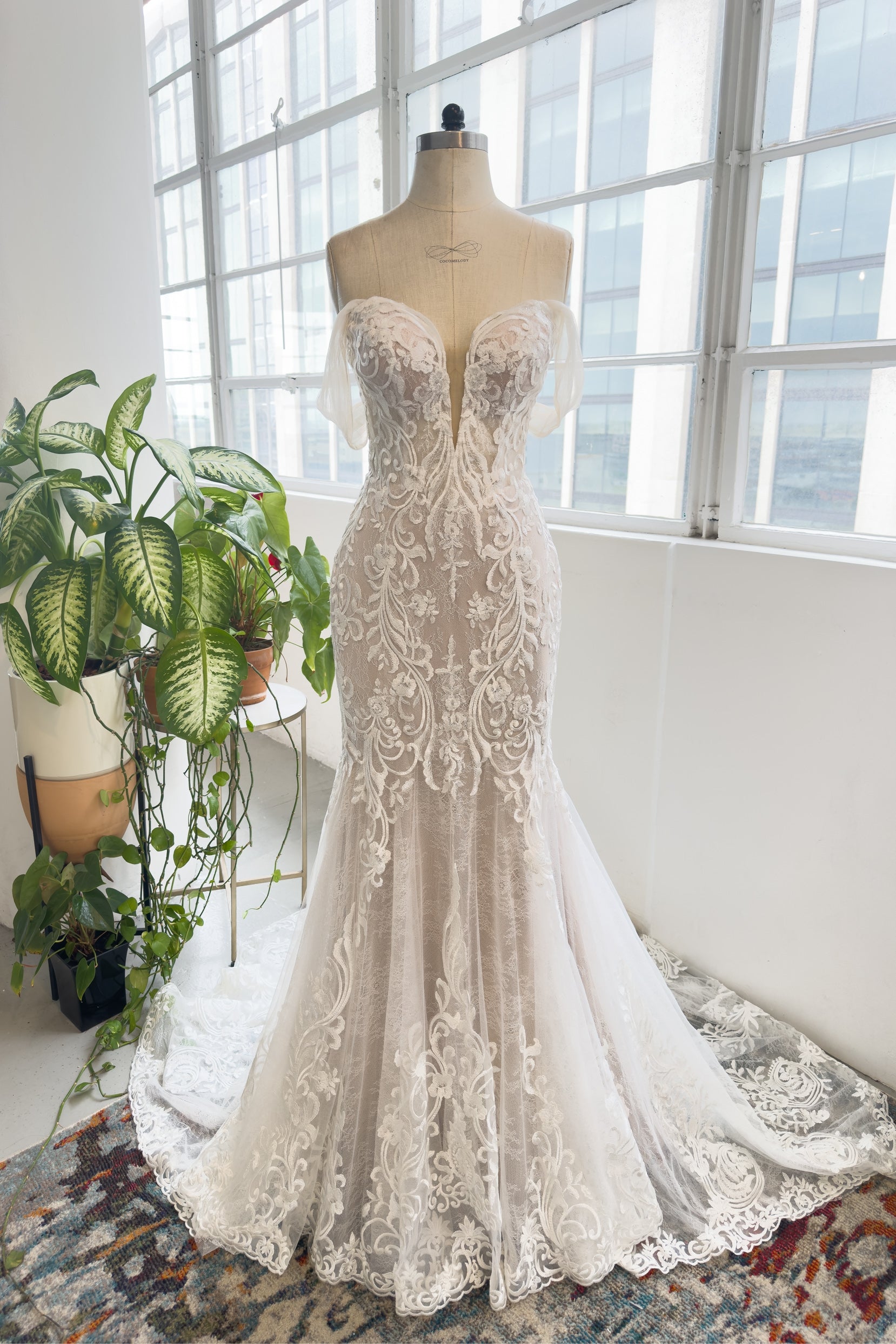 Trumpet-Mermaid Cathedral Train Lace Tulle Wedding Dress