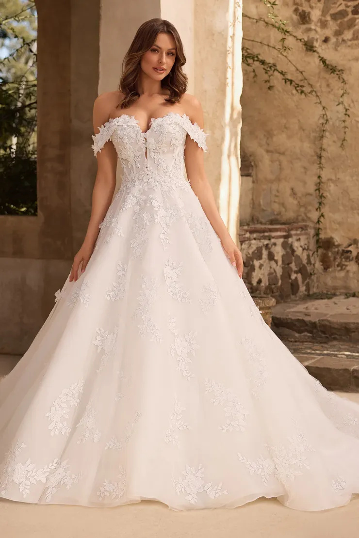 Timeless Voluminous Ball Gown Wedding Dress With 3D Lace # ST631
